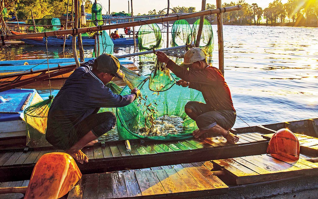 Thương nhớ những mùa cá linh - Kỳ 4: Tìm nguồn cá linh khác - Ảnh 3.