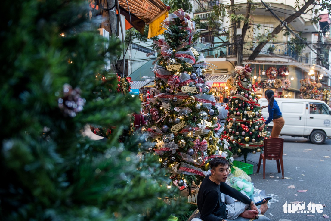 Chơi tới mùa Noel: thông 18-30 triệu vẫn hút khách - Ảnh 3.