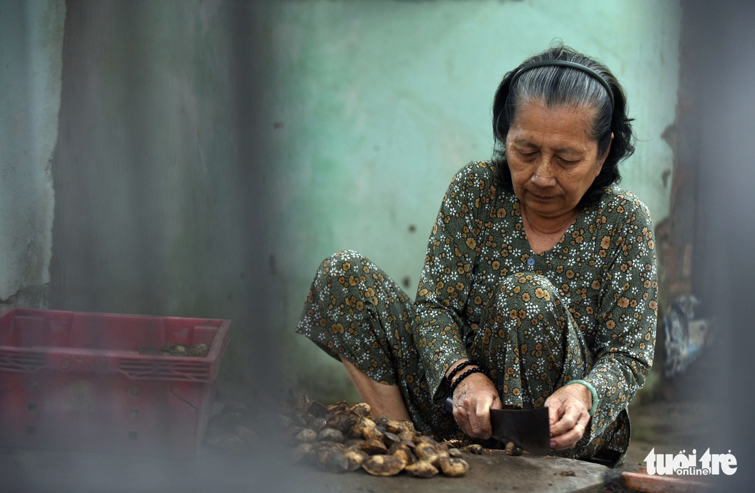 Cây bàng đi qua thăng trầm cùng người dân Côn Đảo - Ảnh 10.