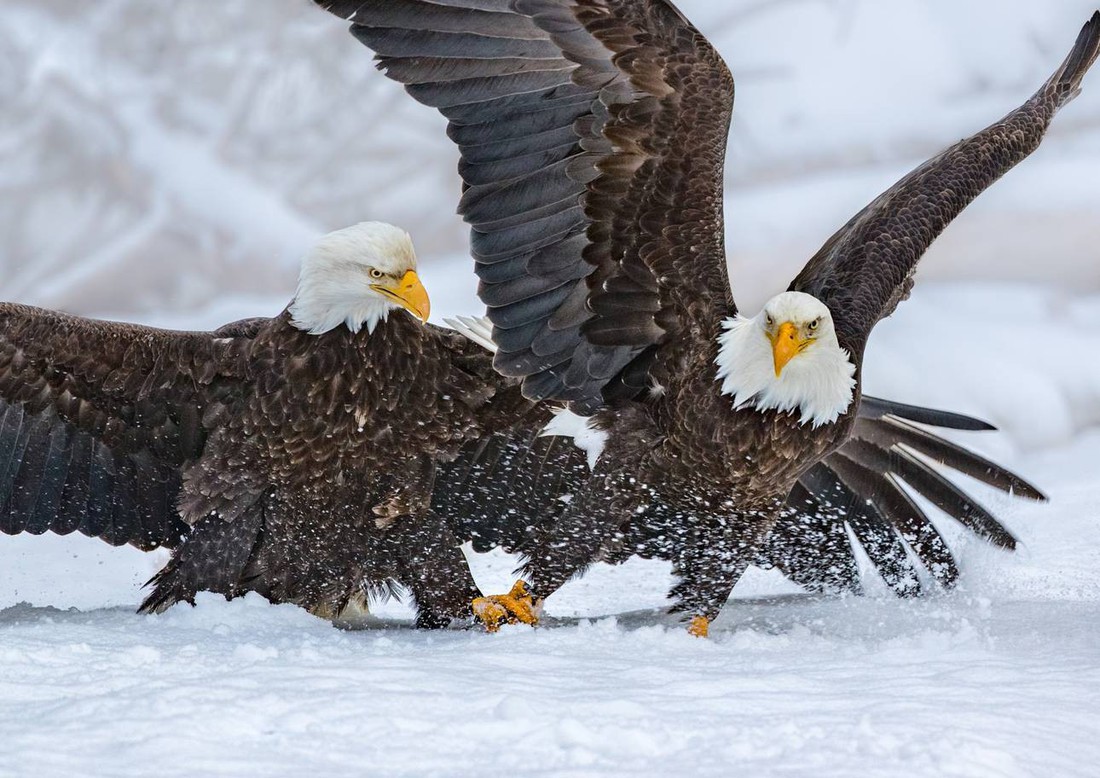 15 ảnh du lịch ấn tượng của National Geographic - Ảnh 2.