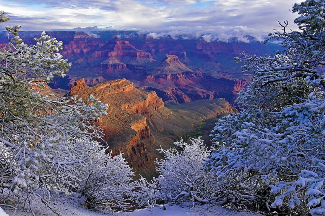 Kỳ quan Grand Canyon tráng lệ mùa tuyết rơi - Ảnh 13.