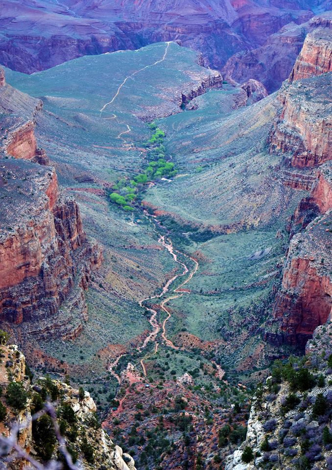 Kỳ quan Grand Canyon tráng lệ mùa tuyết rơi - Ảnh 3.