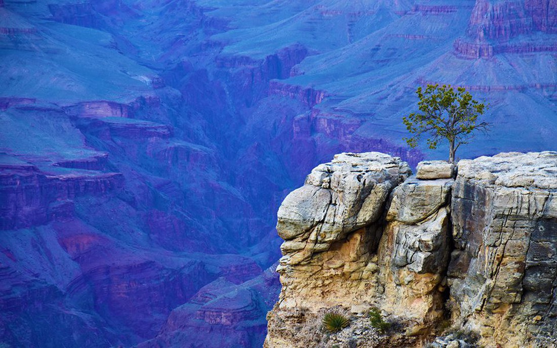 Kỳ quan Grand Canyon tráng lệ mùa tuyết rơi - Ảnh 2.