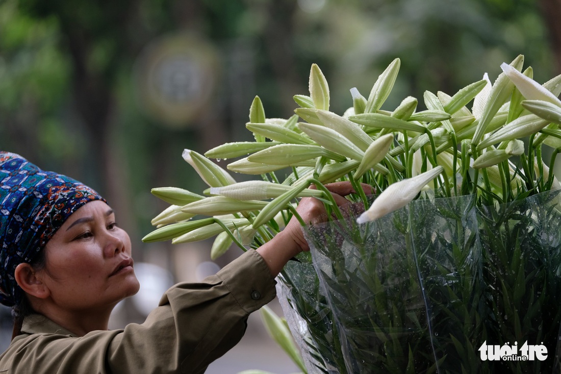 Hoa loa kèn gọi tháng 4 khắp phố phường Hà Nội - Ảnh 4.