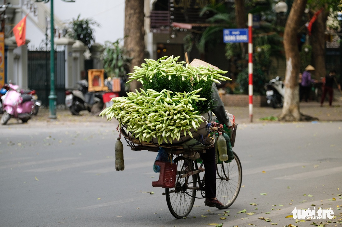 Hoa loa kèn gọi tháng 4 khắp phố phường Hà Nội - Ảnh 12.