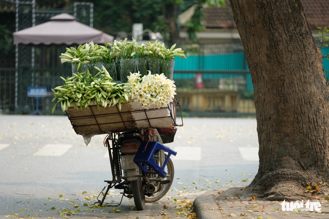 Hoa loa kèn gọi tháng 4 khắp phố phường Hà Nội - Ảnh 11.