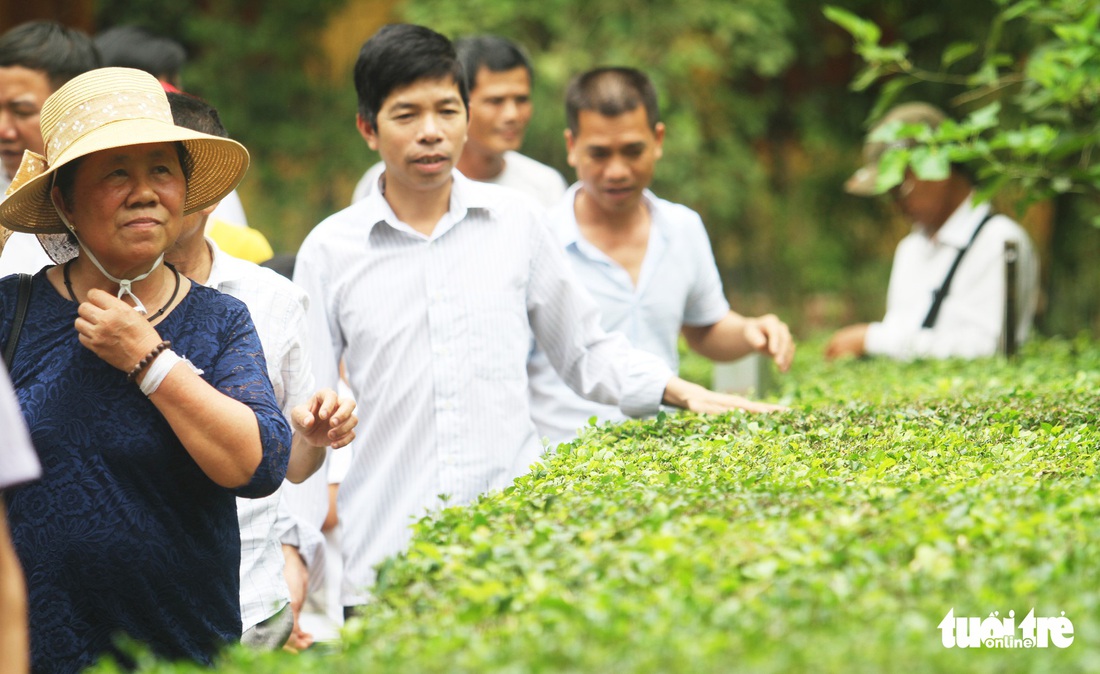 Về làng Sen, Hoàng Trù rợp bóng cây xanh - Ảnh 7.