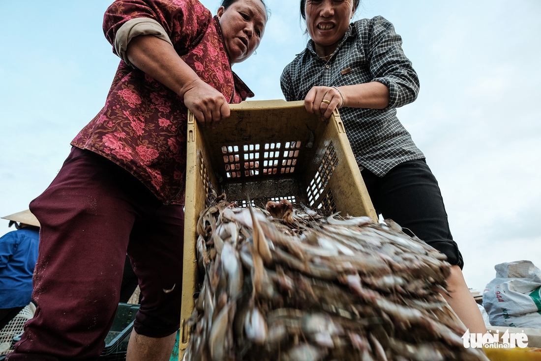 Chợ cá họp trước bình minh nơi làng chài Cửa Nhượng - Ảnh 9.