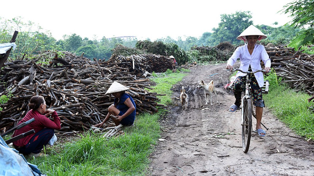 Mót củi giữa phố - Ảnh 7.