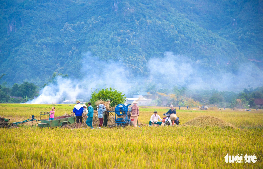 Mùa lúa vàng trên cánh đồng Mường Tấc vùng Tây Bắc - Ảnh 5.