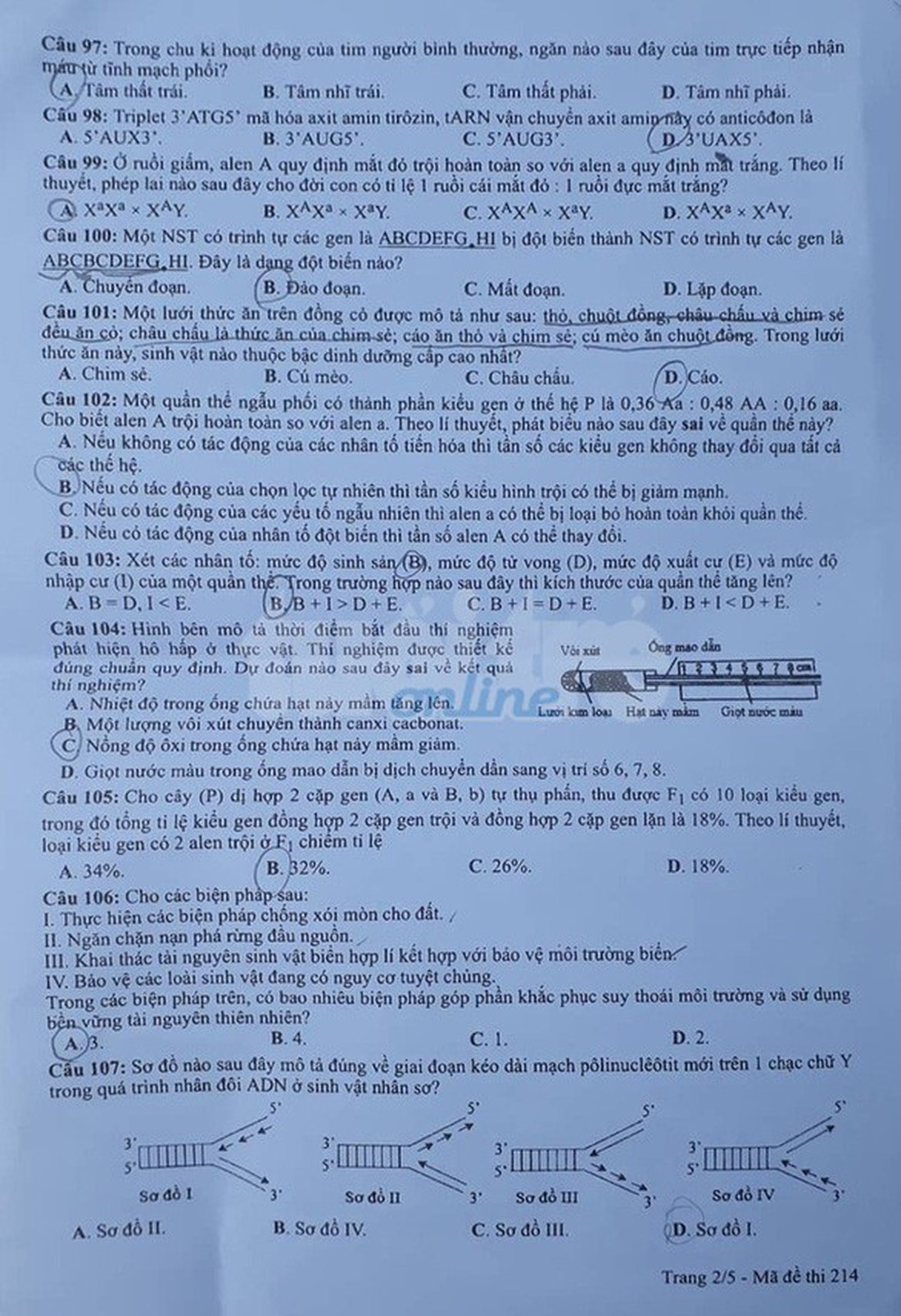 Đáp án môn sinh thi THPT quốc gia 2019 - Ảnh 5.