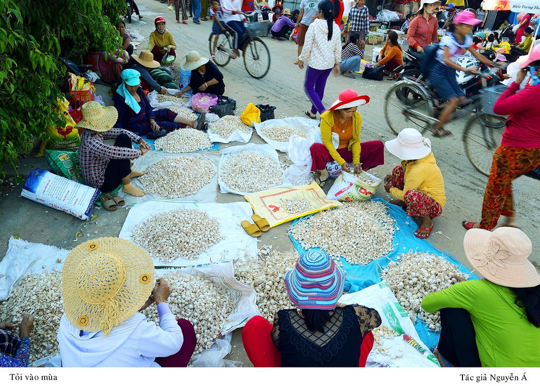 Nào cùng lên chuyến tàu từ Sa Kỳ về với Lý Sơn - Ảnh 5. Nào cùng lên chuyến tàu từ Sa Kỳ về với Lý Sơn - Ảnh 5.