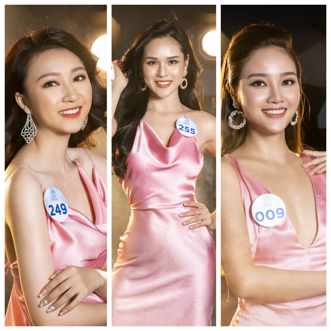 Ngắm nhan sắc chung khảo phía Bắc Miss World Việt Nam 2019 - Ảnh 6.