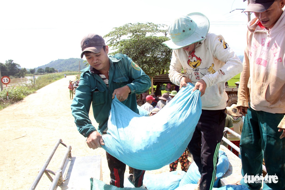 Cả làng đắp đê suốt 3 ngày đêm, cứu hơn 1.000ha lúa sắp thu hoạch - Ảnh 4.