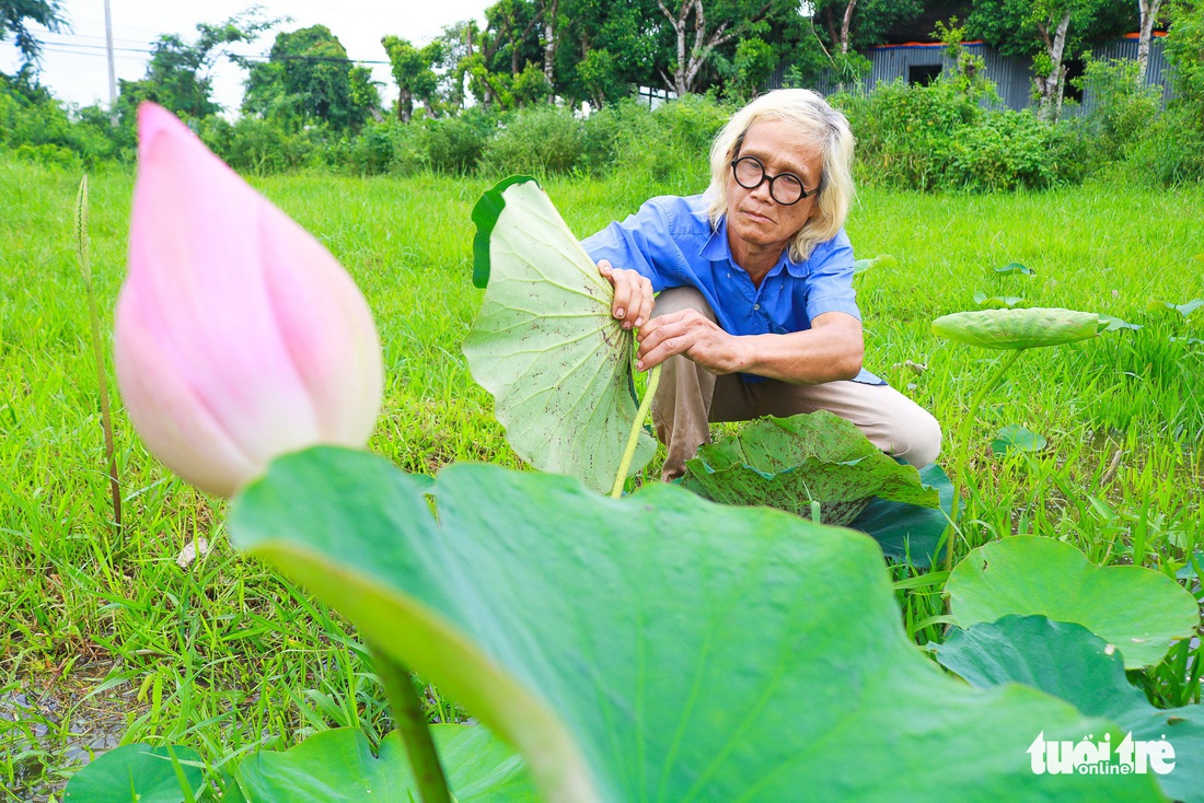 Những bức tranh được làm bằng lá sen mục và vỏ tràm - Ảnh 1.