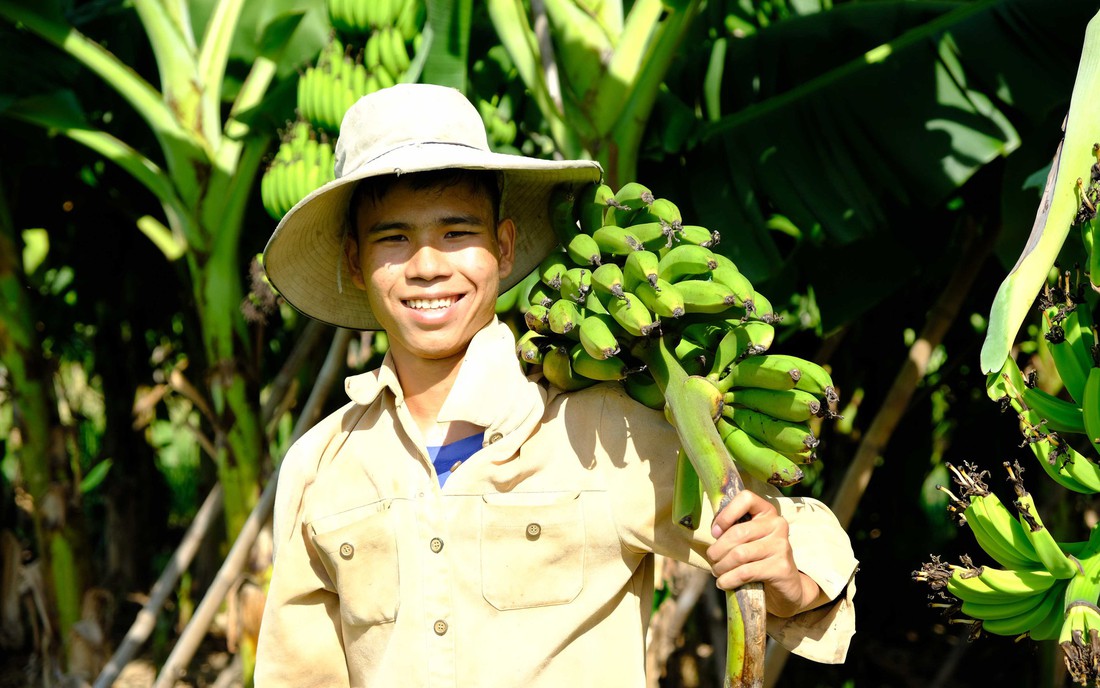 Đốm sáng trong ngôi nhà tăm tối - Ảnh 4.