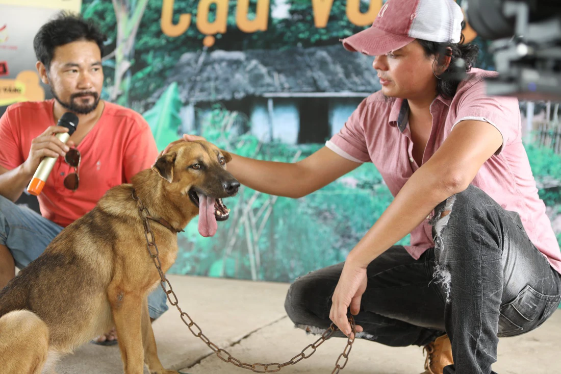 Cậu Vàng của Lão Hạc phải là chó ta, Shiba Inu là chó Nhật Bản! - Ảnh 3.