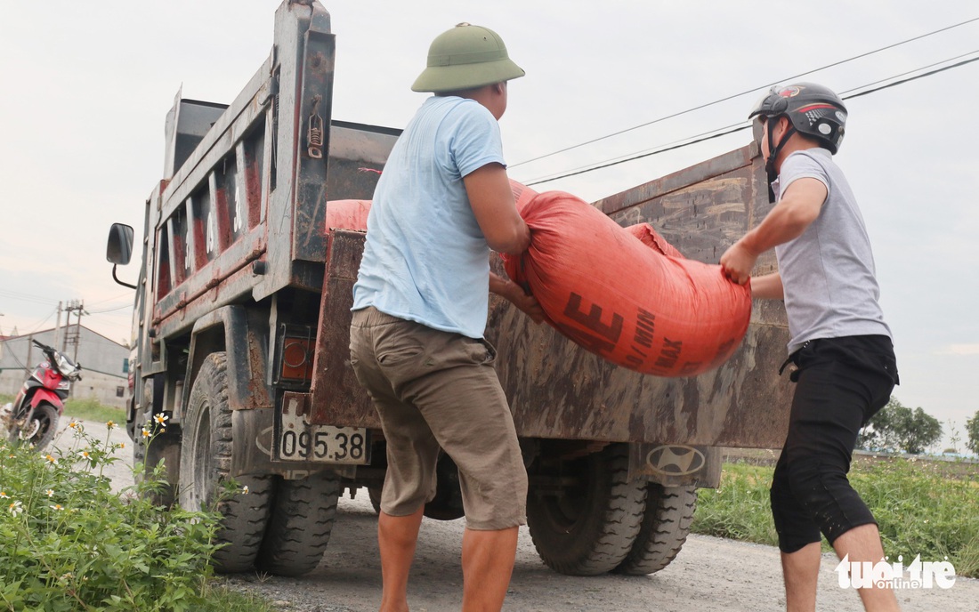 Nông dân Nghệ An hối hả thu hoạch lúa ‘chạy’ bão số 4 - Ảnh 2.