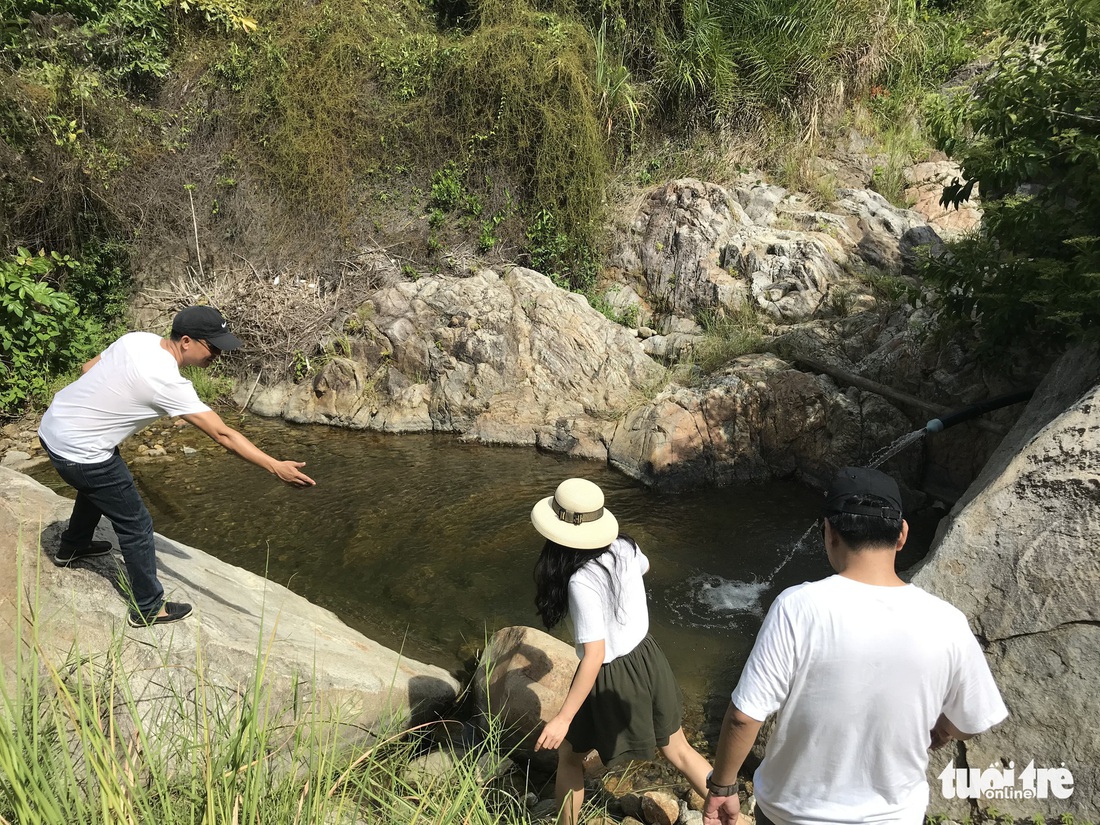 Sủng Cỏ thiên đường hoang sơ nơi cửa vịnh Đà Nẵng - Ảnh 10.