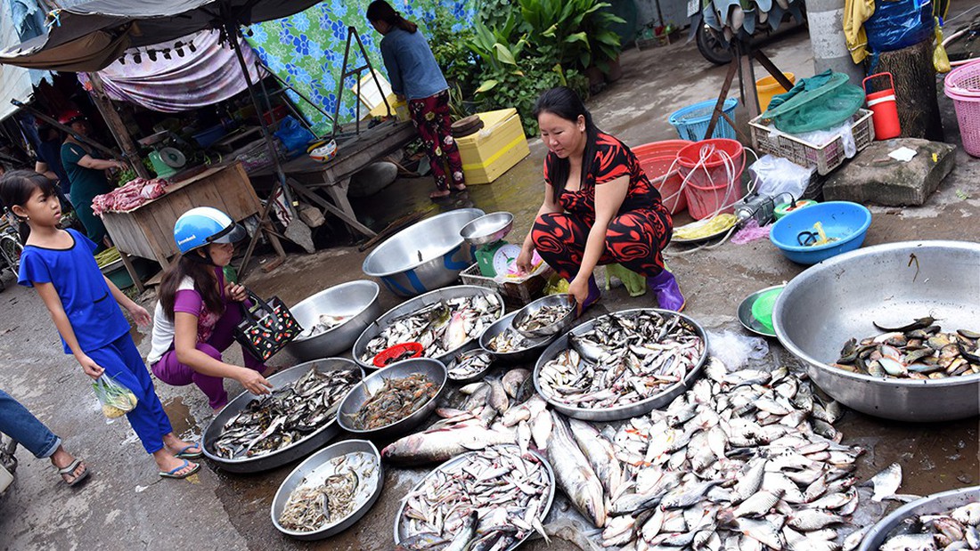 Lũ về trễ, thưa thớt cá tôm - Ảnh 8.