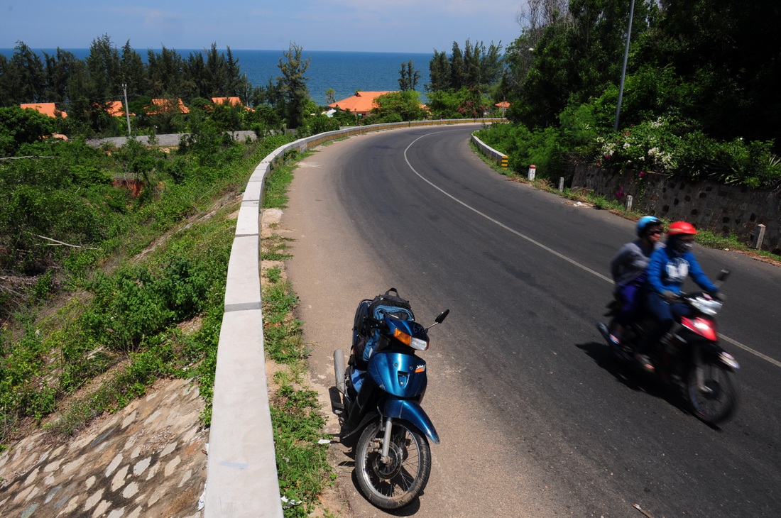 Cung đường biển Nam Trung Bộ rực sắc hoa tràm vàng - Ảnh 3. Cung đường biển Nam Trung Bộ rực sắc hoa tràm vàng - Ảnh 3.