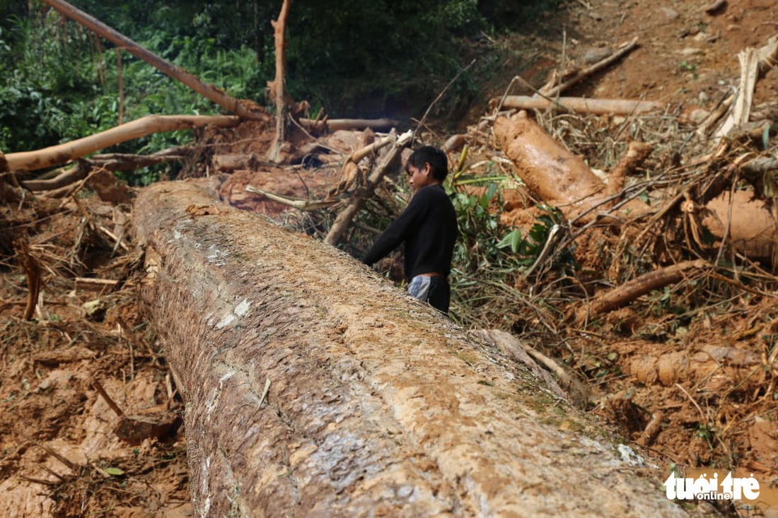 Những hình ảnh đầu tiên ngôi làng bị vùi lấp tại Trà Leng, Nam Trà My - Ảnh 3.