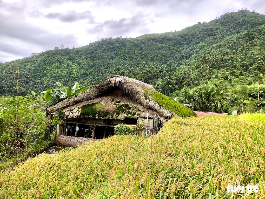 Hà Giang có những mái nhà đặc sắc - Ảnh 1.