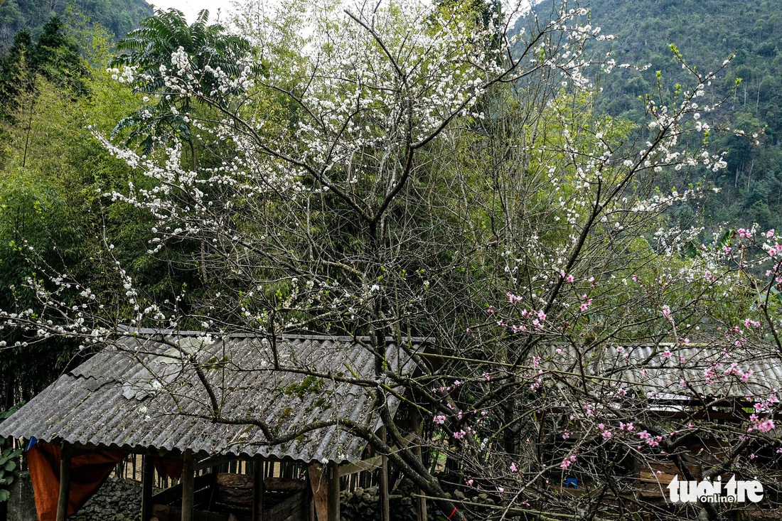 Có nên thu phí để phát triển du lịch cao nguyên đá Đồng Văn? - Ảnh 8.