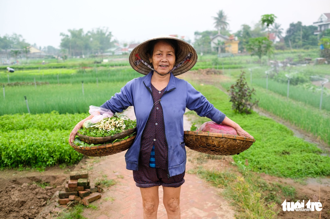 Trà Quế - Làng rau hoài niệm thành điểm đến quốc tế - Ảnh 5.