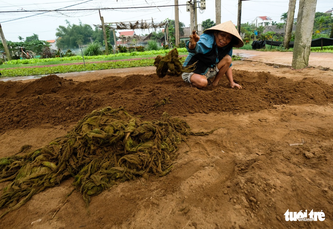 Trà Quế - Làng rau hoài niệm thành điểm đến quốc tế - Ảnh 6.