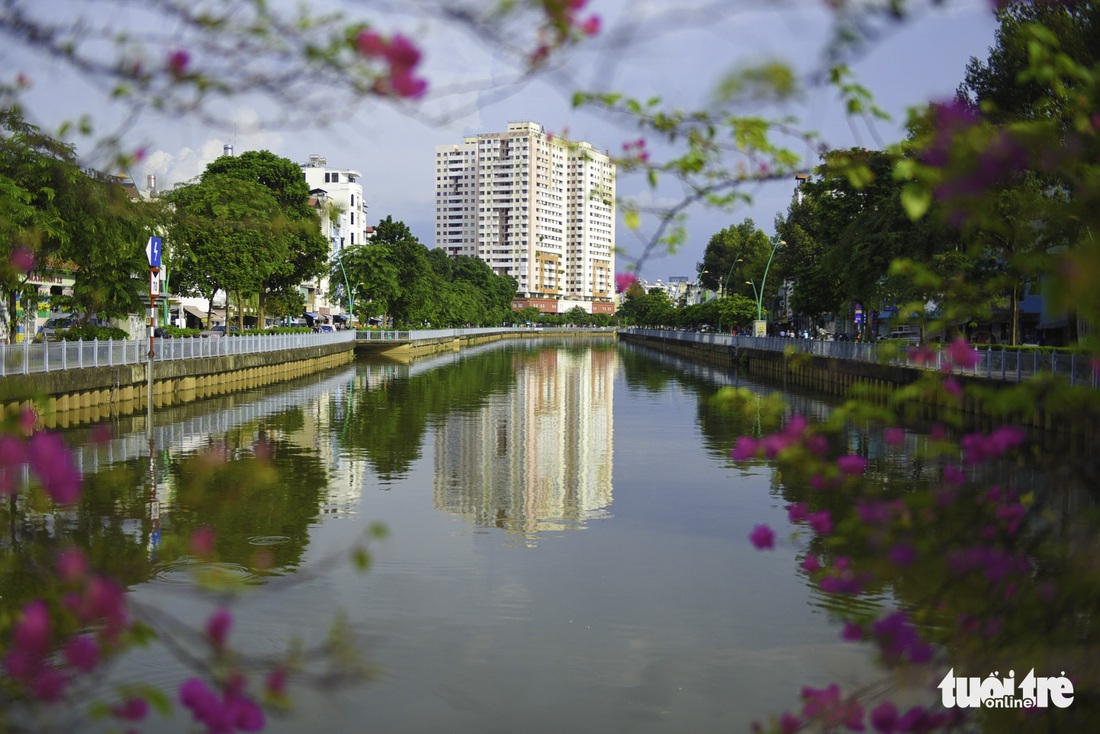 Tiết trời se lạnh, đường phố Sài Gòn rộ sắc hoa - Ảnh 10.