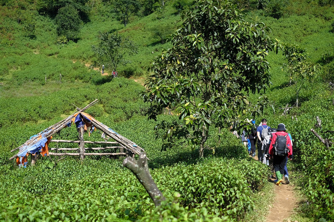 2 ngày leo đỉnh núi Tà Chì Nhù ngắm hoàng hôn tím lịm - Ảnh 1.