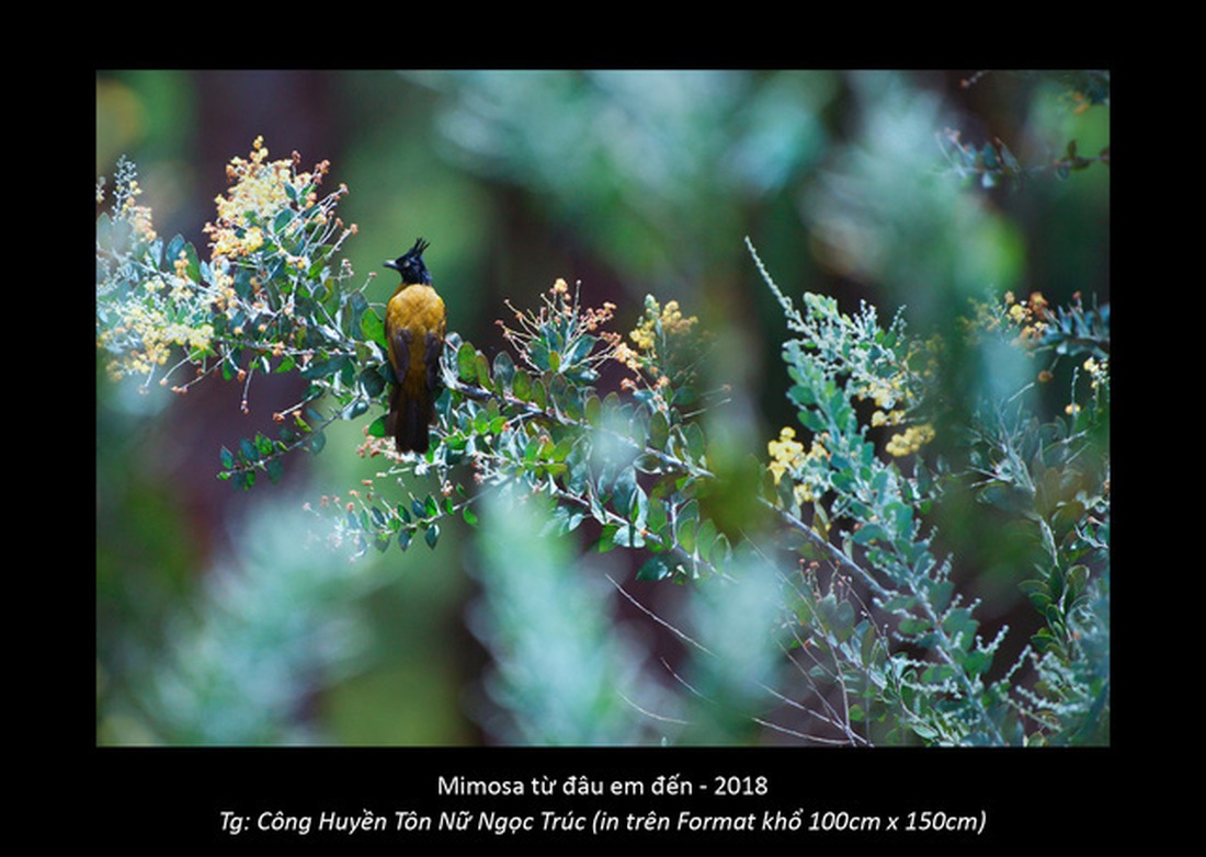 Dalat of Harmony: Tình yêu Đà Lạt trong chợ, trong sương - Ảnh 14.