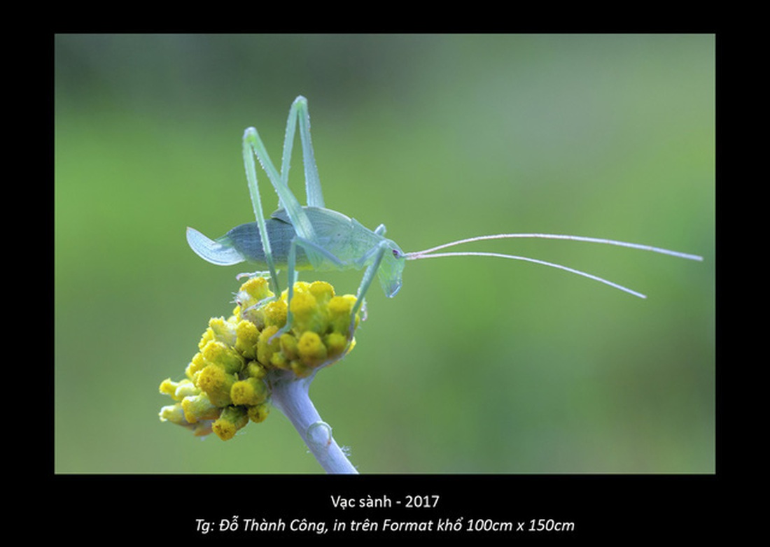 Dalat of Harmony: Tình yêu Đà Lạt trong chợ, trong sương - Ảnh 6.