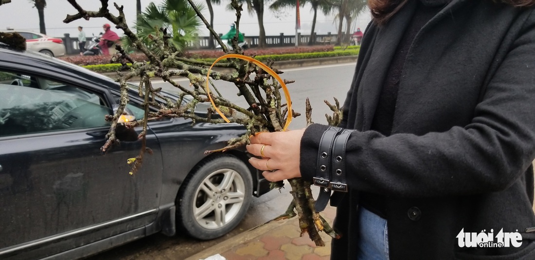 Cành lê trắng tinh khôi, giá tiền triệu hút khách thủ đô - Ảnh 9.
