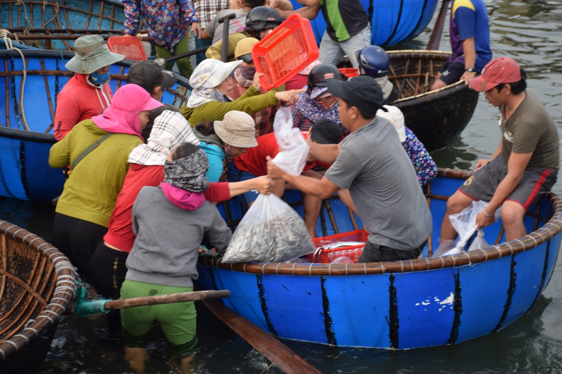 Tàu cập bến, ngư dân Quảng Nam phấn khởi bởi trúng mùa cá cơm - Ảnh 4.