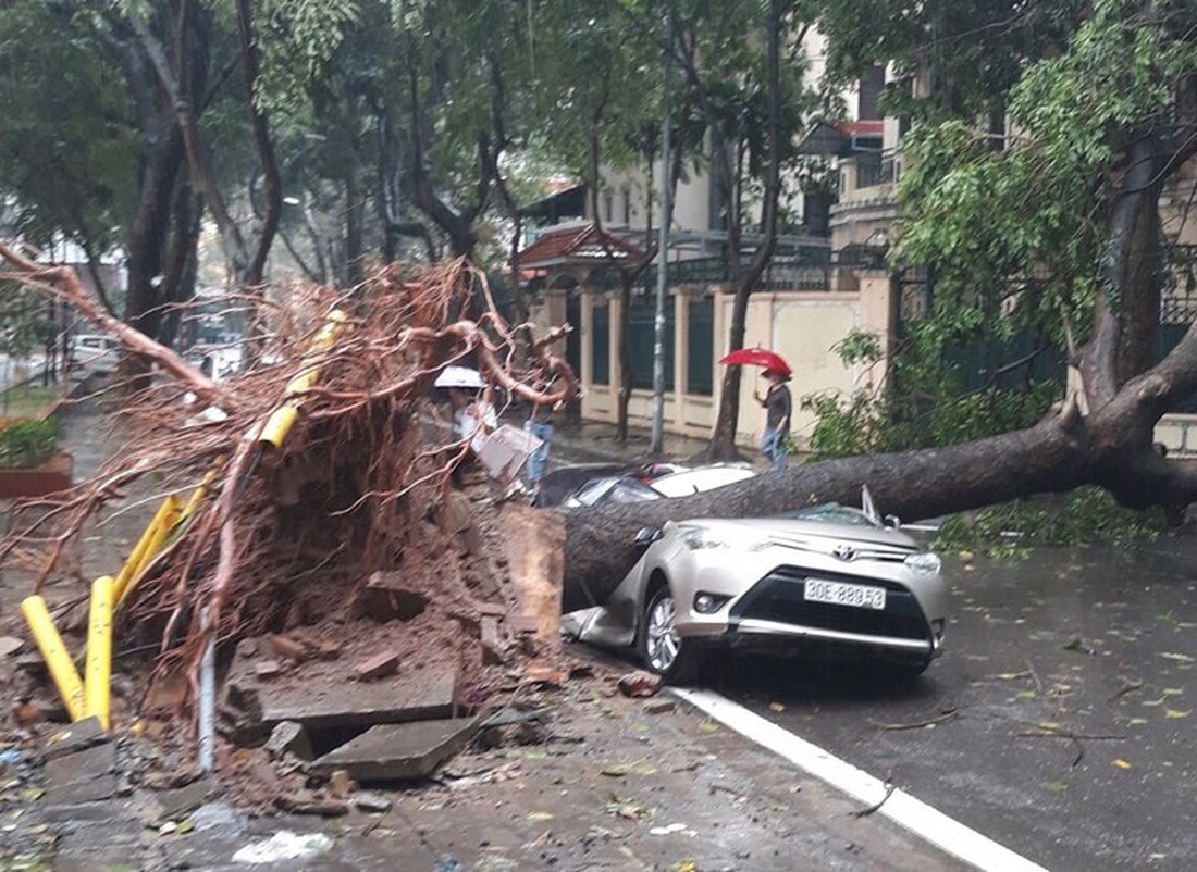 Hà Nội mưa như trút nước, cây lớn bật gốc đè bẹp ôtô - Ảnh 5.