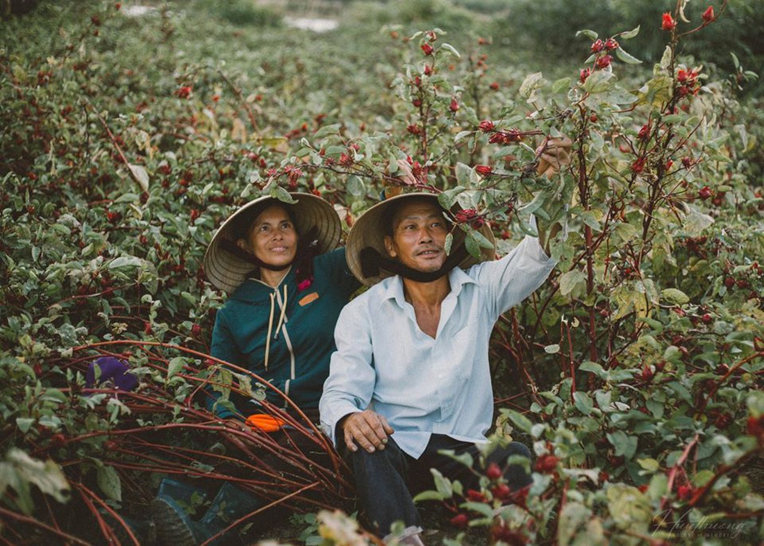 Bộ ảnh đong đầy yêu thương về đôi tay ba mẹ của chàng trai Quảng Trị - Ảnh 1.