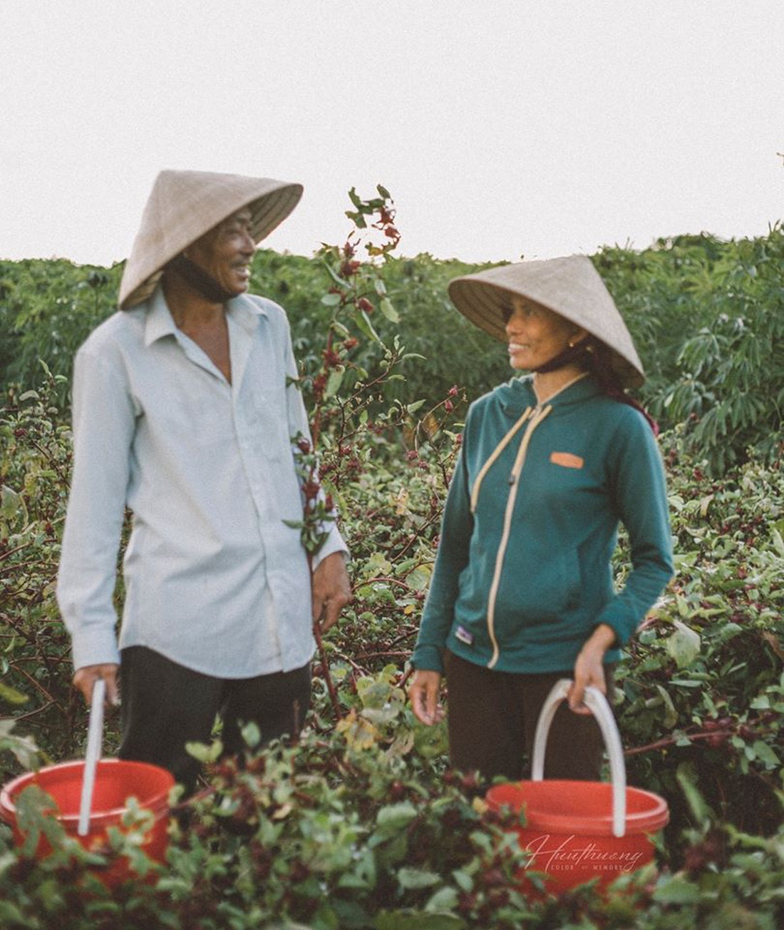 Bộ ảnh đong đầy yêu thương về đôi tay ba mẹ của chàng trai Quảng Trị - Ảnh 6.