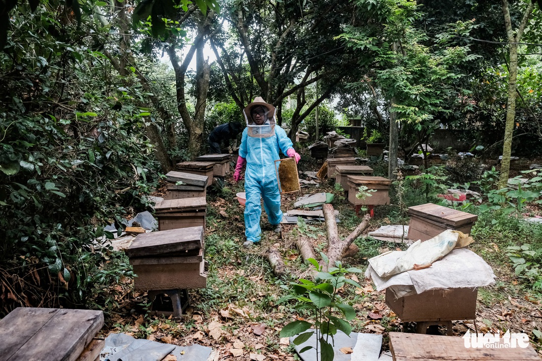 Một ngày theo chân gia đình gần 30 năm nuôi ong lấy mật - Ảnh 6.