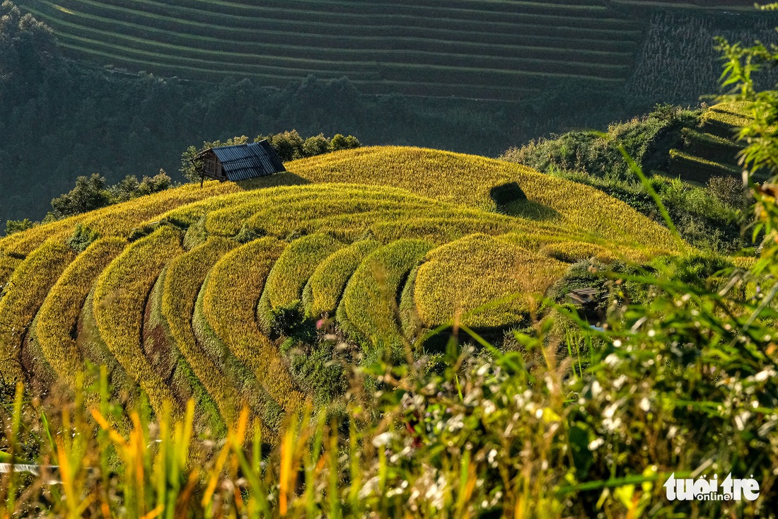 Đuổi theo mặt trời ngắm ruộng bậc thang đẹp như tranh vẽ - Ảnh 4.