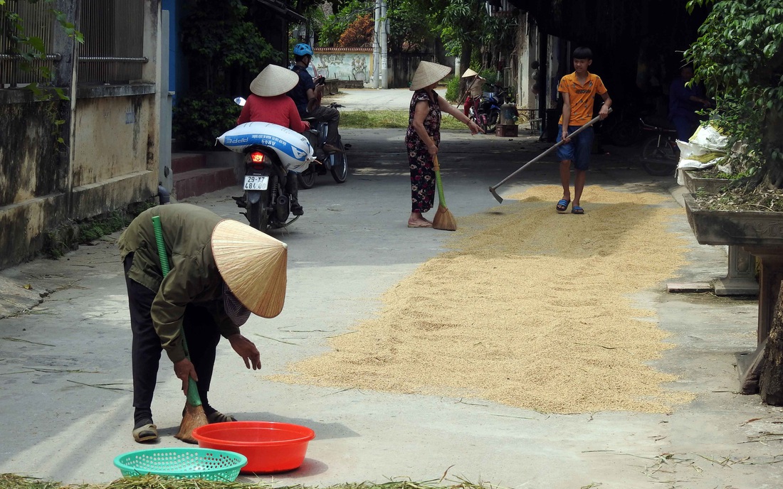 Thăng trầm chiếc nón Việt - Ảnh 8.