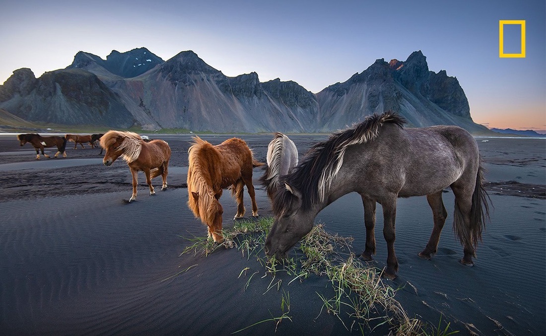 Ảnh chung cư Sài Gòn đầy ắp quán cà phê lên National Geographic UK - Ảnh 2.