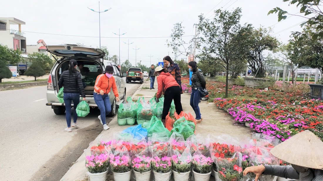 Người trồng hoa tết ở Quảng Nam phấn khởi vì được mùa, được giá - Ảnh 9.