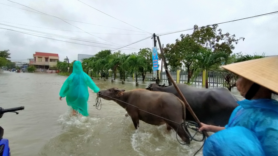 Mưa lớn, nước tràn ngập quốc lộ 1, dân Quảng Nam hối hả sơ tán - Ảnh 9.