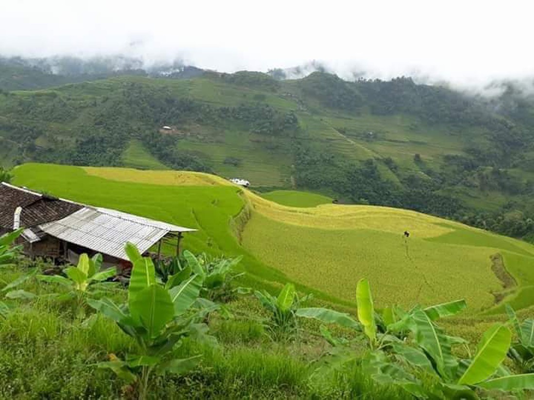 Bài tham dự cuộc thi Nhà tôi - Mái ấm: Ngôi nhà đó có gì khiến tôi mê đến vậy? - Ảnh 1.