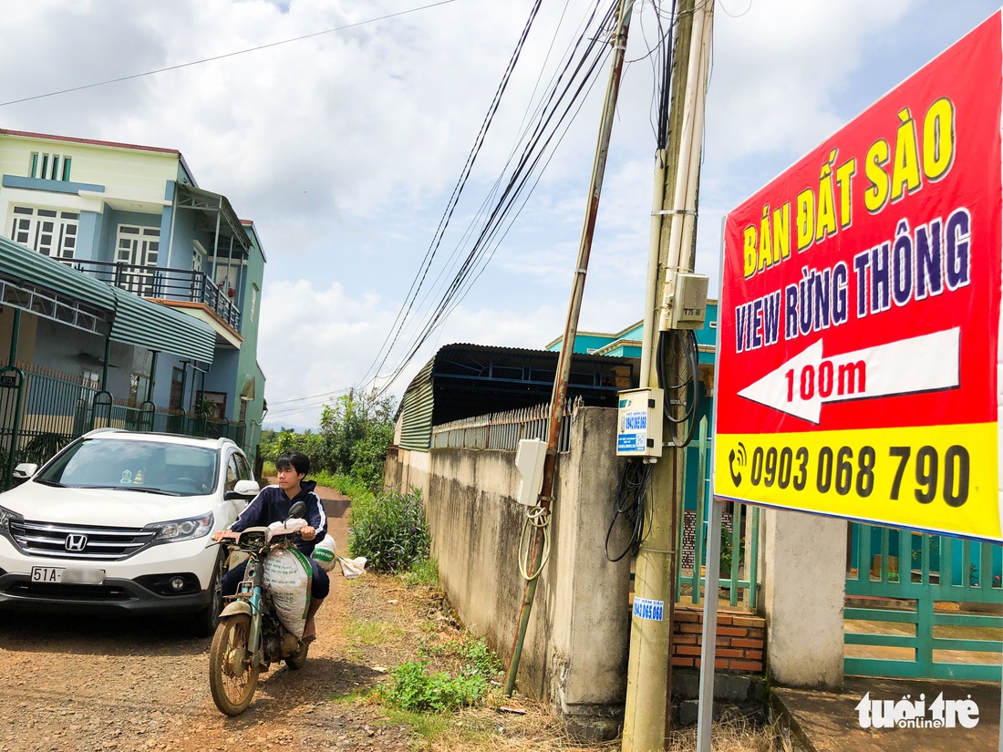 Hiện trường những đồi chè tại Bảo Lộc bị xé toạc để làm dự án bất động sản chui - Ảnh 7.