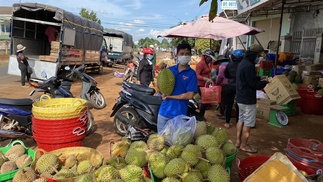 Tin sáng 13-9: Giá dưa hấu, mít, xoài tăng 15-30%, rau củ Đà Lạt cũng neo giá cao, vì sao? - Ảnh 2.