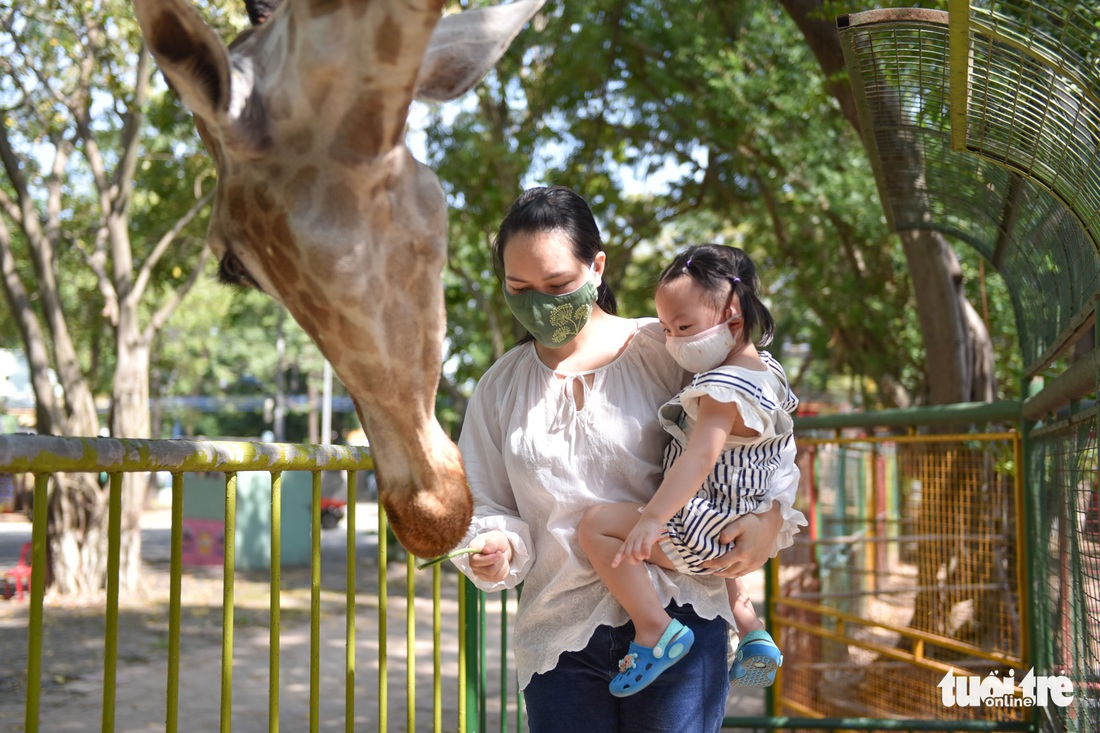 Đầm Sen mở cửa lại, người dân đến thư giãn cuối tuần - Ảnh 3. Đầm Sen mở cửa lại, người dân đến thư giãn cuối tuần - Ảnh 3.