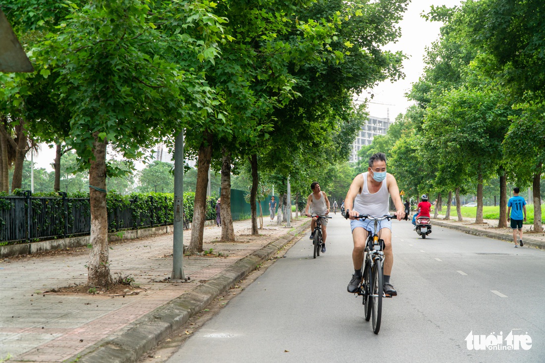 Hàng cây ở khu Ngoại giao đoàn là phong lá đỏ? - Ảnh 4.